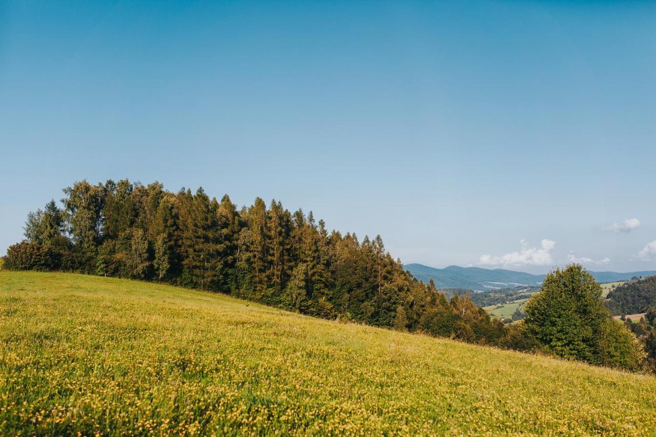 Pasieka - Dom Wypoczynkowy Bacza Exteriör bild