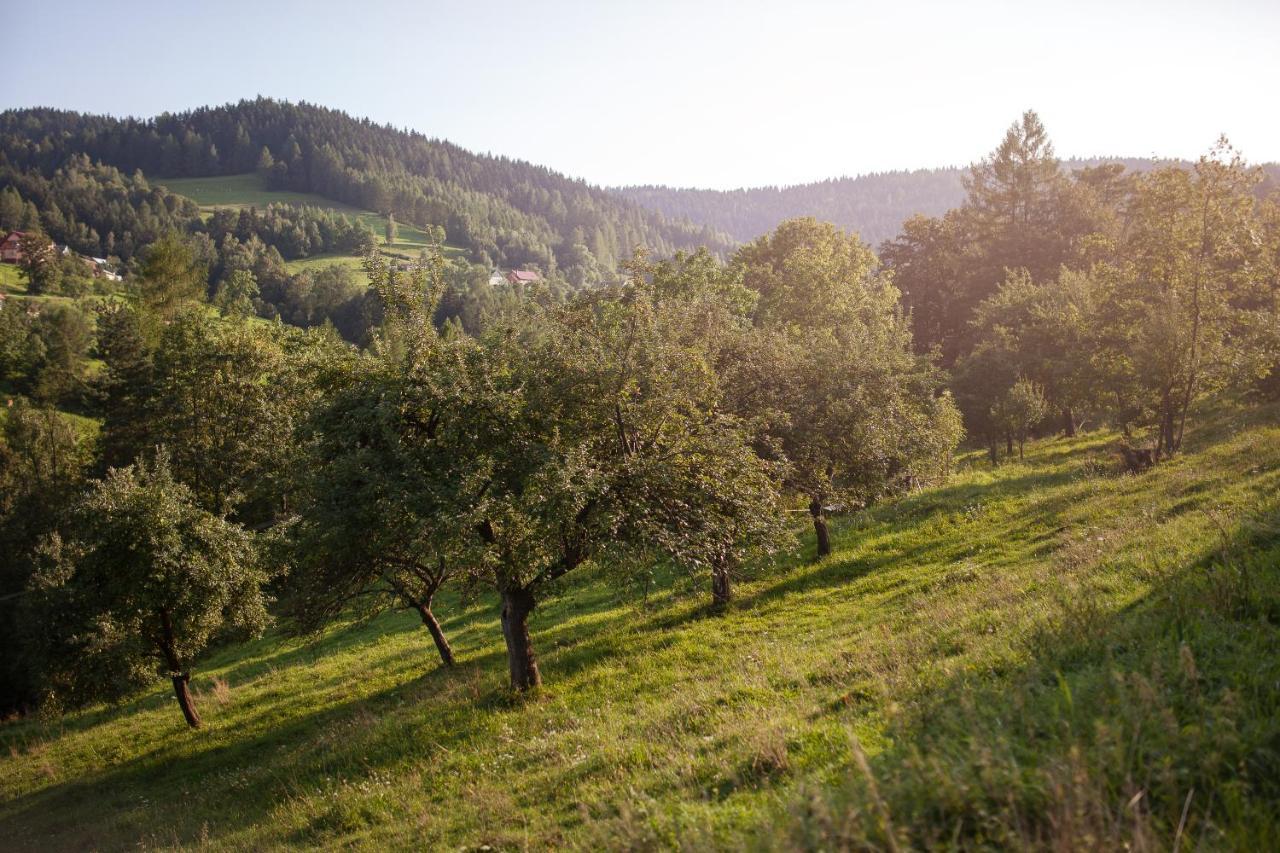 Pasieka - Dom Wypoczynkowy Bacza Exteriör bild