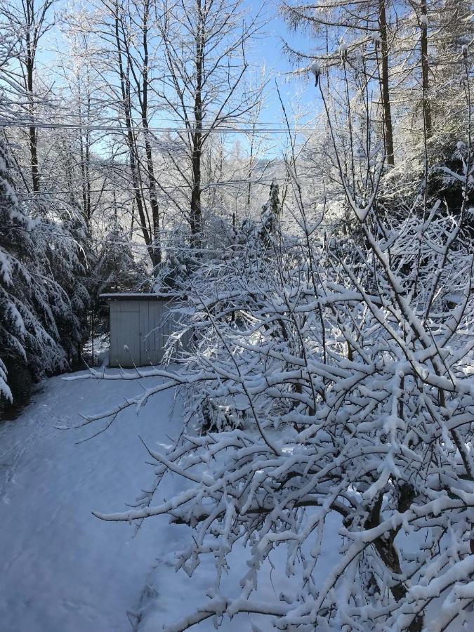 Pasieka - Dom Wypoczynkowy Bacza Exteriör bild